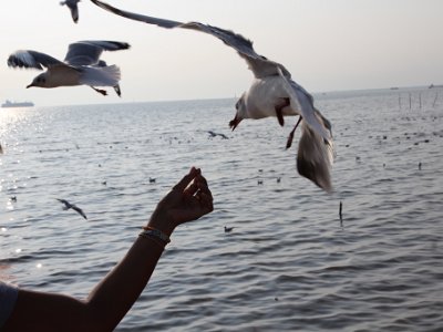 Nov 27, 2014 - Bangpu Pier, Asogaram Temple - Bangkok